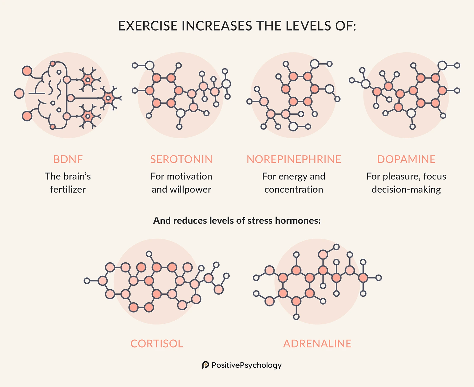 Exercise and Cognition