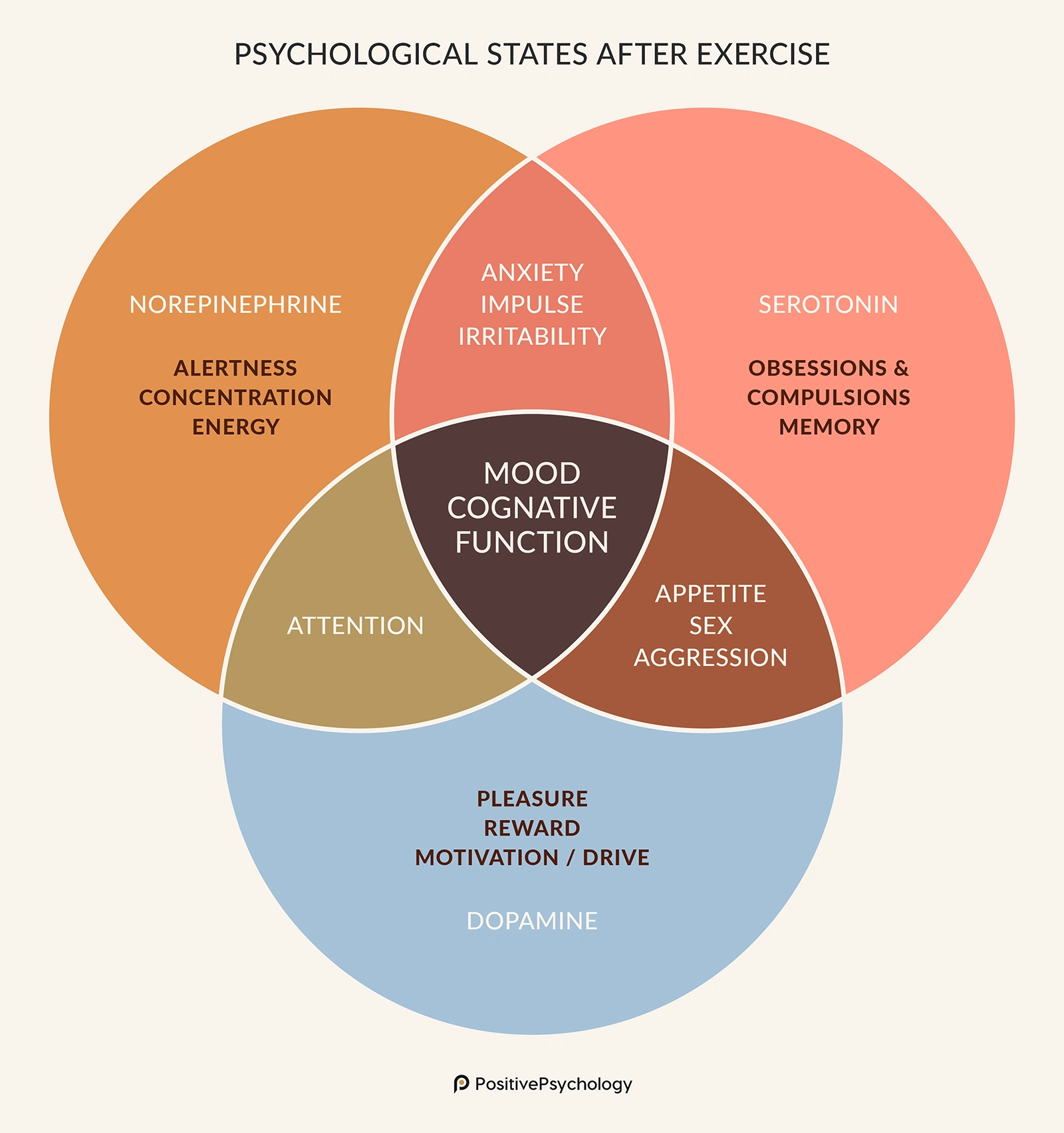 Brain Changing Exercise Benefits