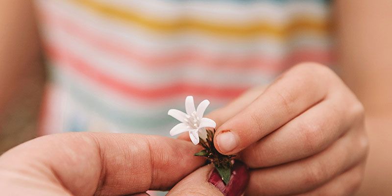 Positive psychology coaching versus life coaching