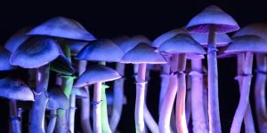 Is Psychedelic-Assisted Therapy Effective? 6 Research Findings