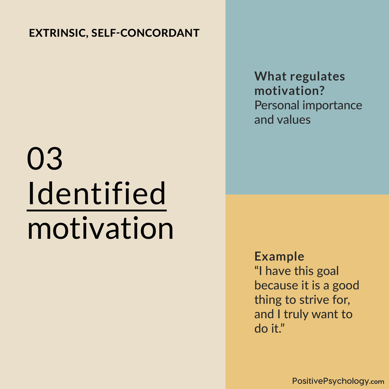 Identified Motivation