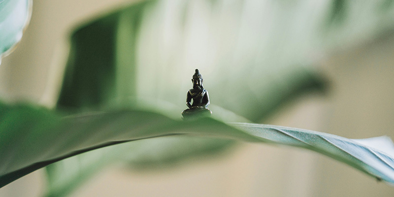 Consciousness in psychology