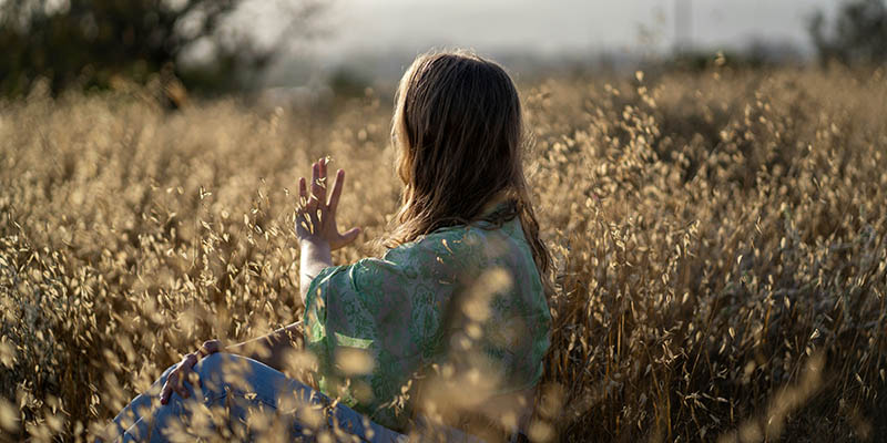 Hedonic eudaimonic wellbeing