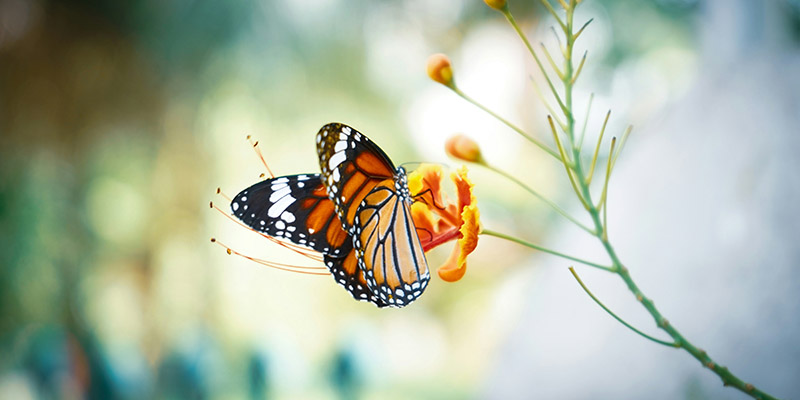 Helpful therapeutic interventions