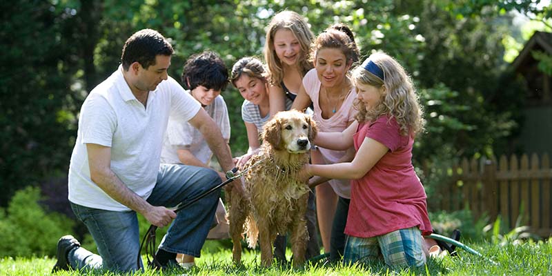 Internal family systems therapy