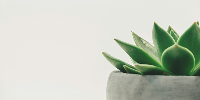 Mindfulness worksheets