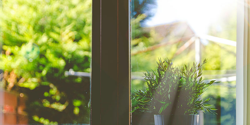 Window of tolerance