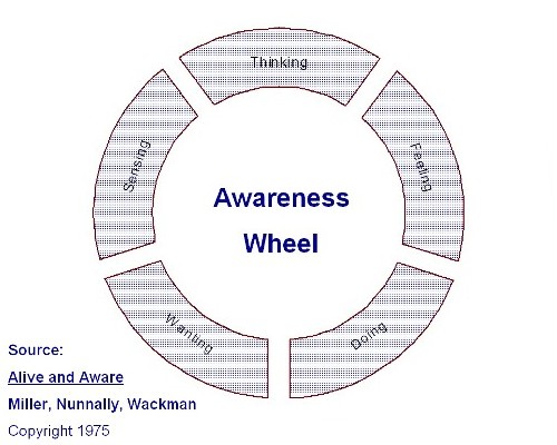 Awareness Wheel