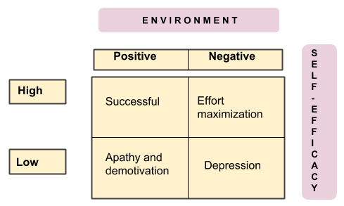 Environment versus self-efficacy