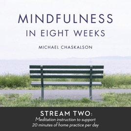 Mindfulness in 8 Weeks