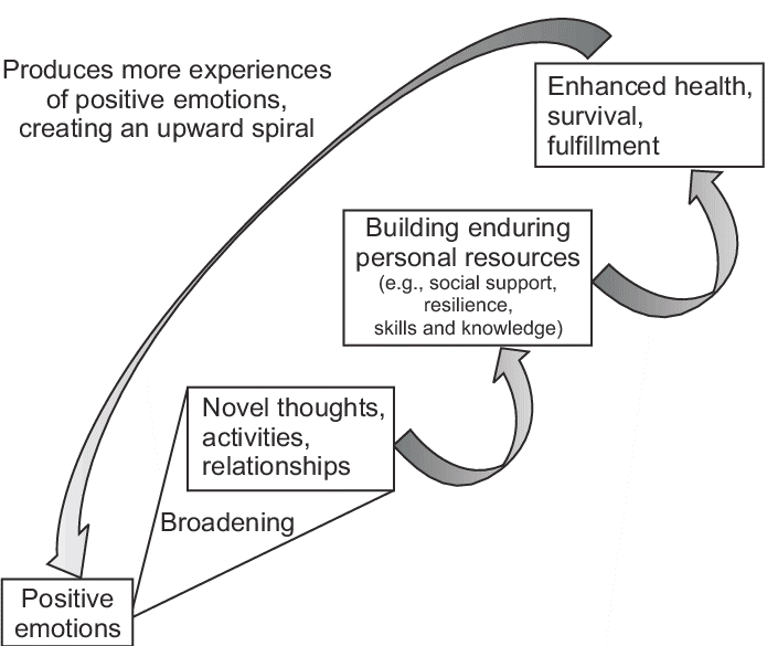 Model of the broaden-and-build theory
