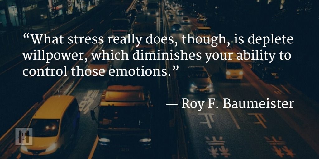 Roy F. Baumeister Positive Psychology Quotes